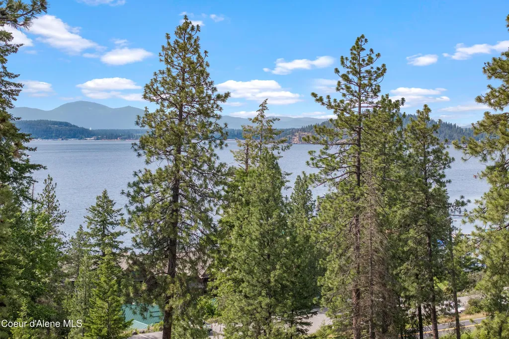 Lot 3 Jackleg Trail Harrison ID 83833