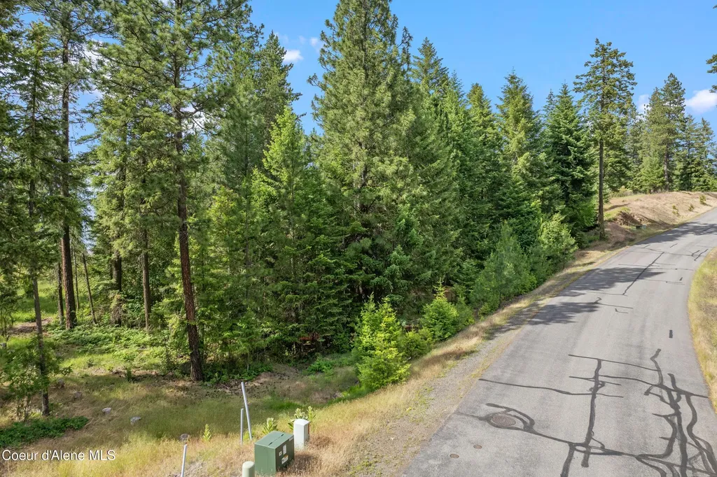 Lot 3 Jackleg Trail Harrison ID 83833