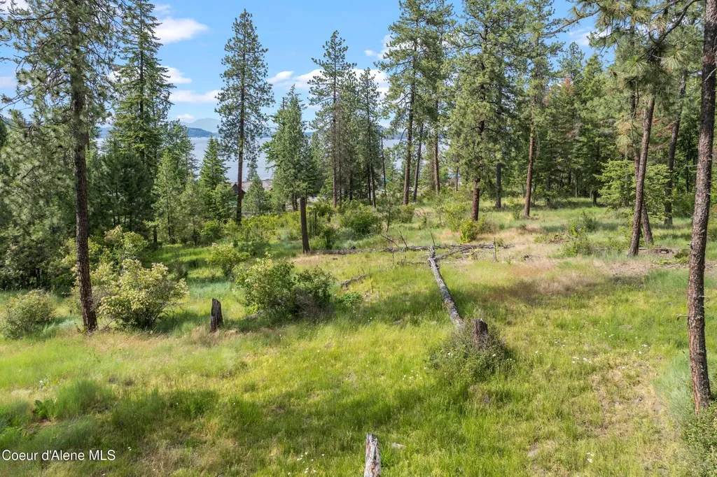 Lot 3 Jackleg Trail Harrison ID 83833