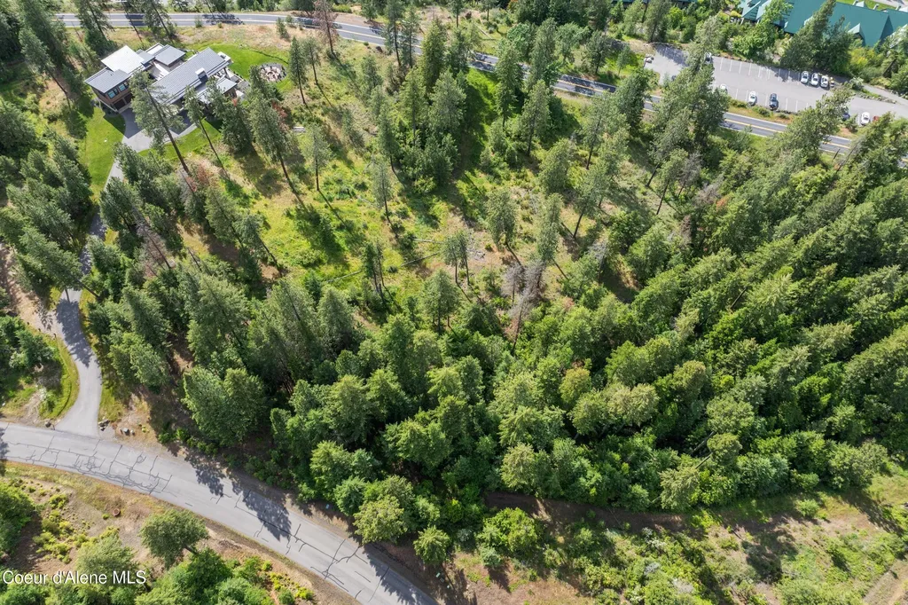 Lot 3 Jackleg Trail Harrison ID 83833