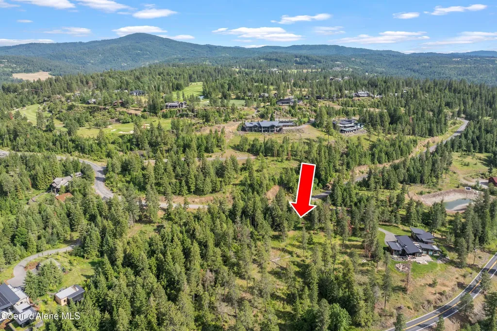 Lot 3 Jackleg Trail Harrison ID 83833