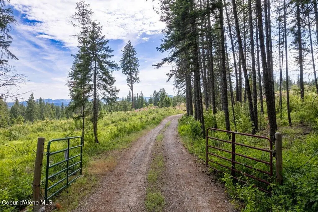 701 Cabin Ridge Road Spirit Lake ID 83869