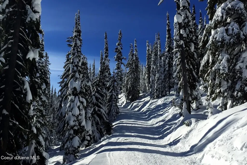 Nna Mogul Hill B2 L5 Sandpoint ID 83864