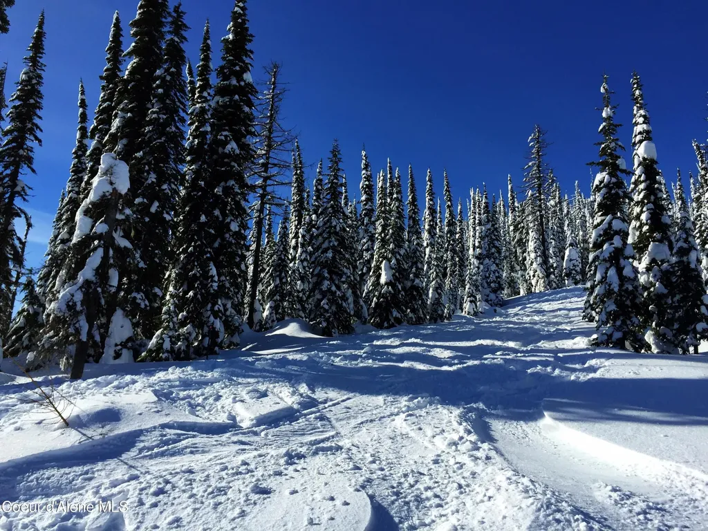 Nna Mogul Hill B2 L5 Sandpoint ID 83864