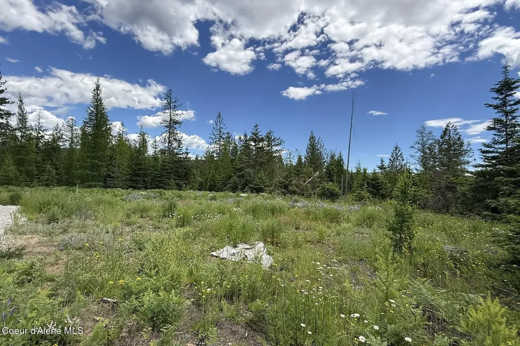 Nna Noble Lane Lot 2 Phase 1 Sandpoint ID 83864