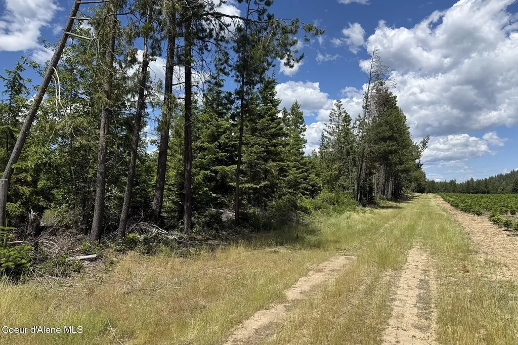 Nna Noble Lane Lot 2 Phase 1 Sandpoint ID 83864