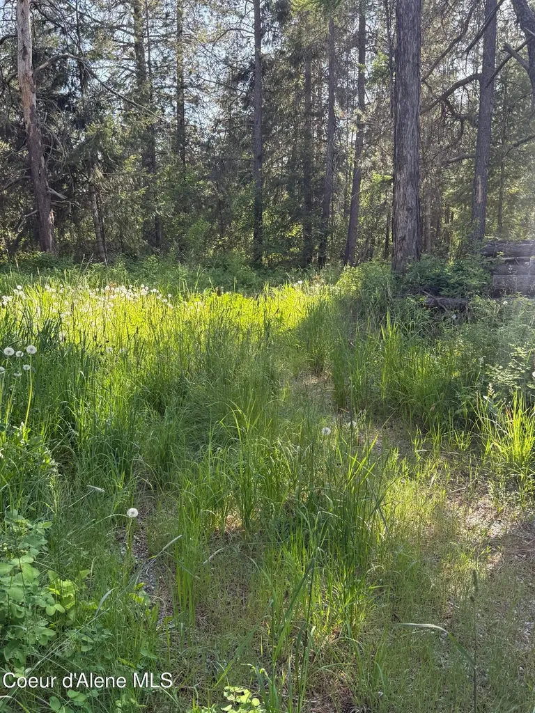 30625 N Pastime Street Athol ID 83801