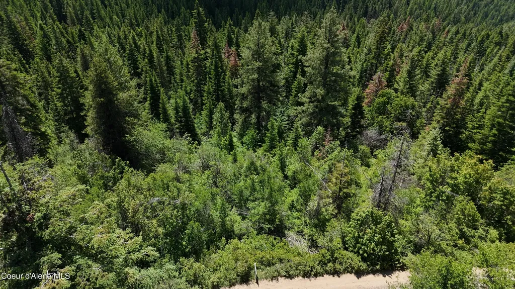 2407 Crystal Peak Road Fernwood ID 83830