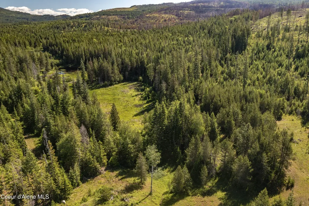 871 Foothill Drive Athol ID 83801