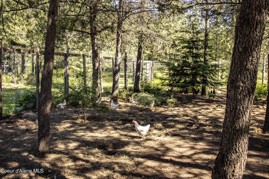 871 Foothill Drive Athol ID 83801