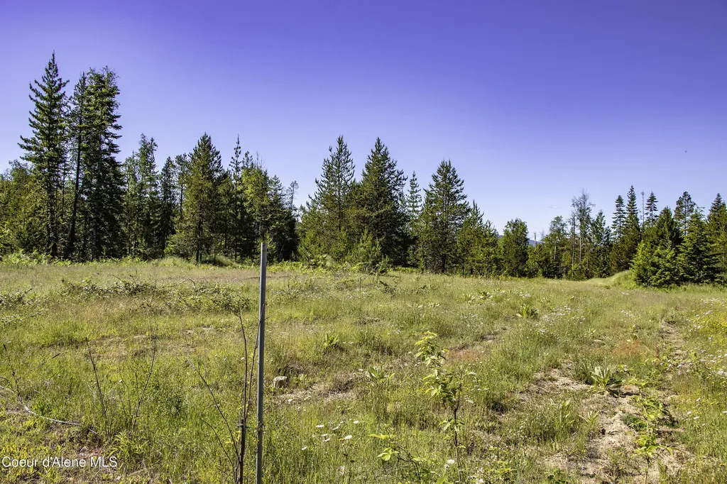 871 Foothill Drive Athol ID 83801