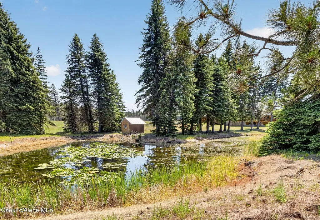 8831 Coyote Trail Road Newport WA 99156
