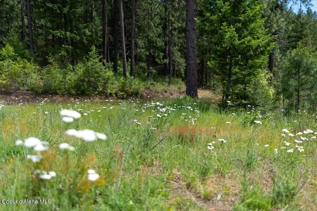 121 S Idaho Road Post Falls ID 83854