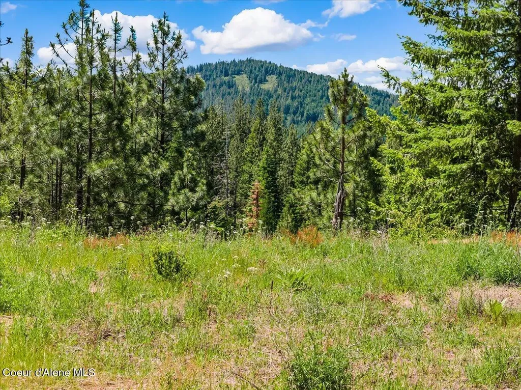121 S Idaho Road Post Falls ID 83854