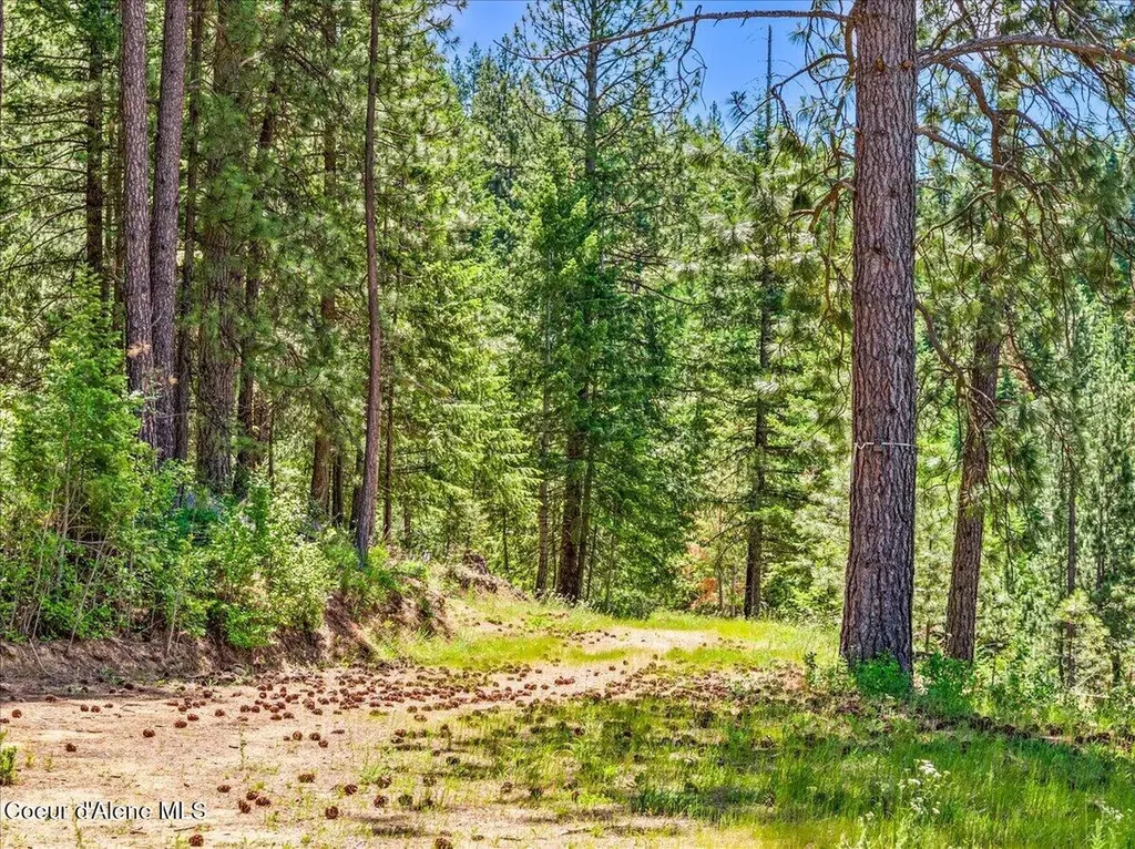 121 S Idaho Road Post Falls ID 83854