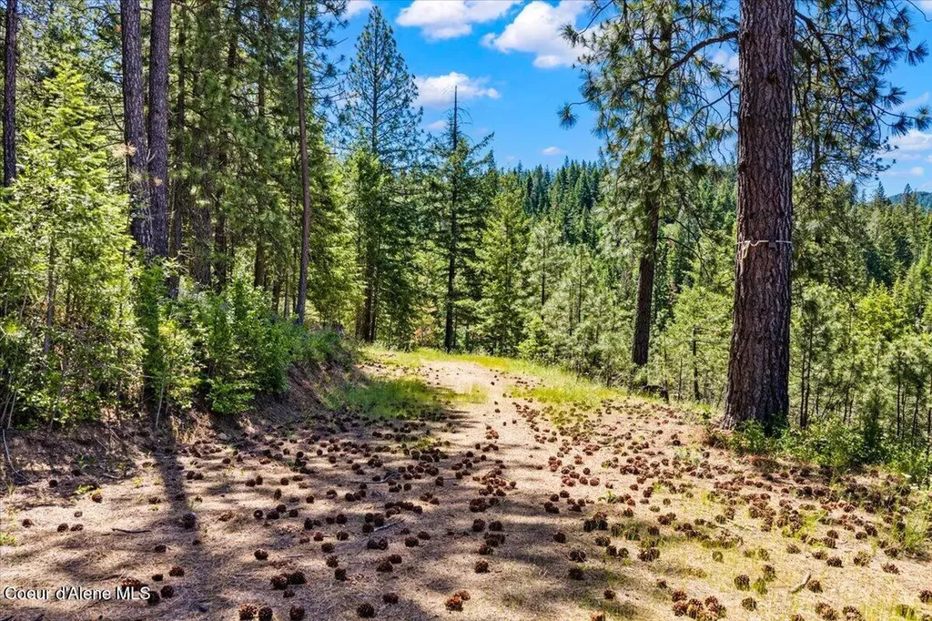 121 S Idaho Road Post Falls ID 83854