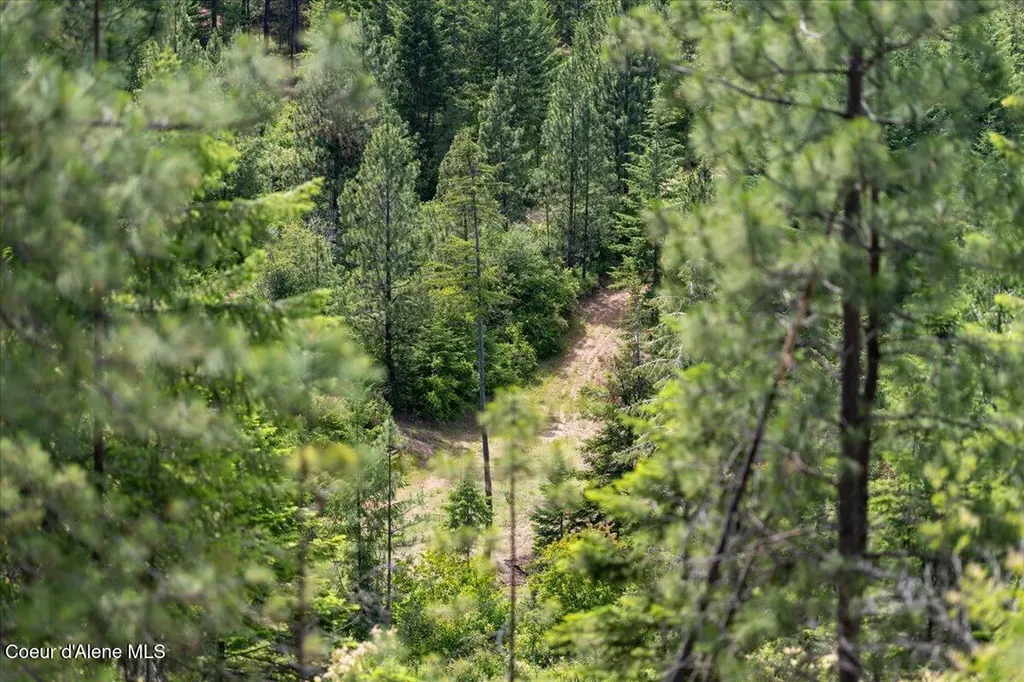 121 S Idaho Road Post Falls ID 83854
