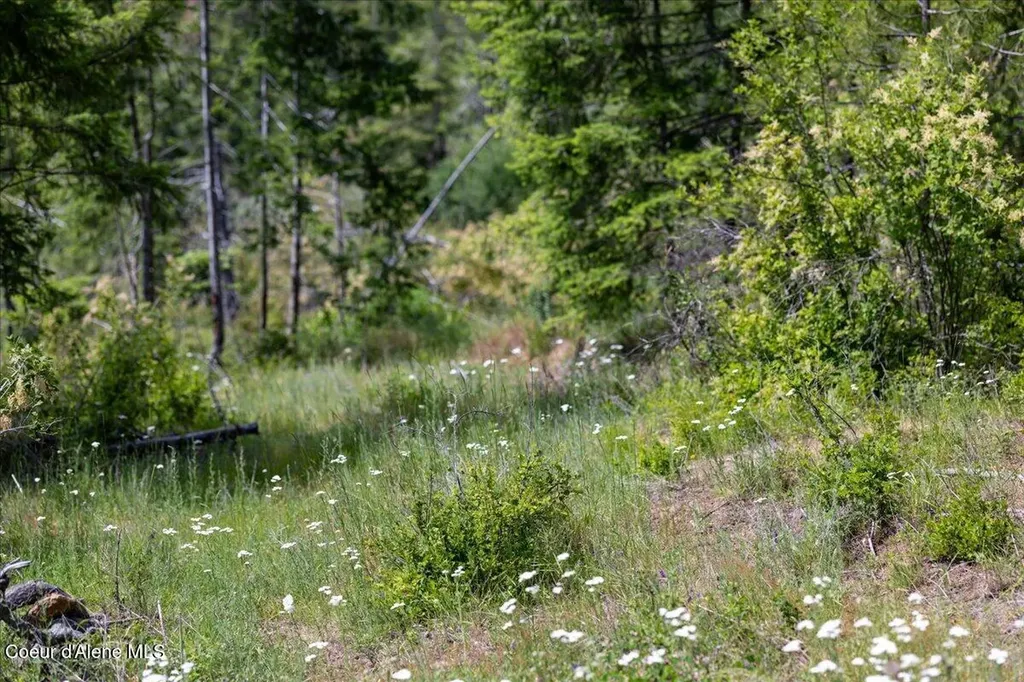 121 S Idaho Road Post Falls ID 83854