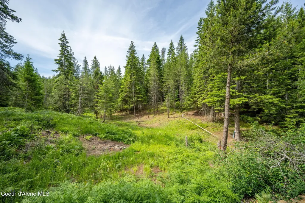 963 Upper Samuels Road Sandpoint ID 83864