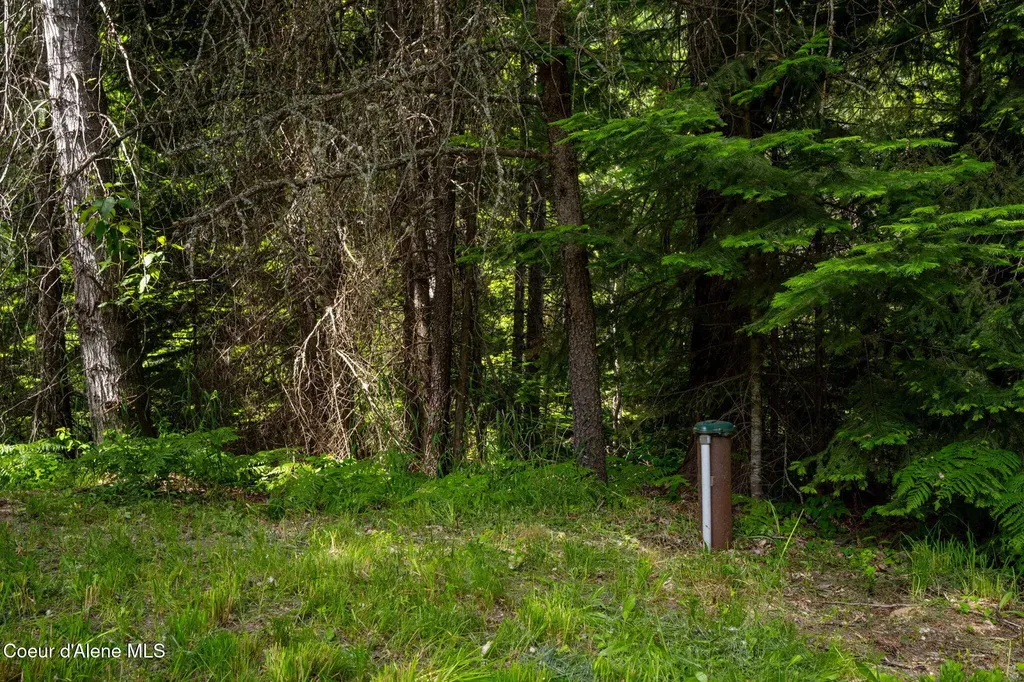 963 Upper Samuels Road Sandpoint ID 83864