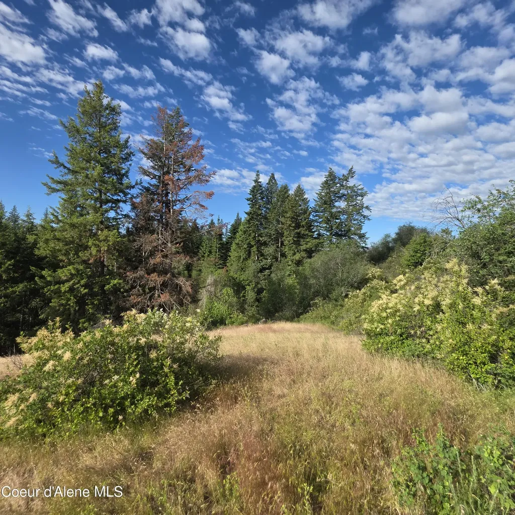 Nka 5 Sunrise Drive Harrison ID 83833