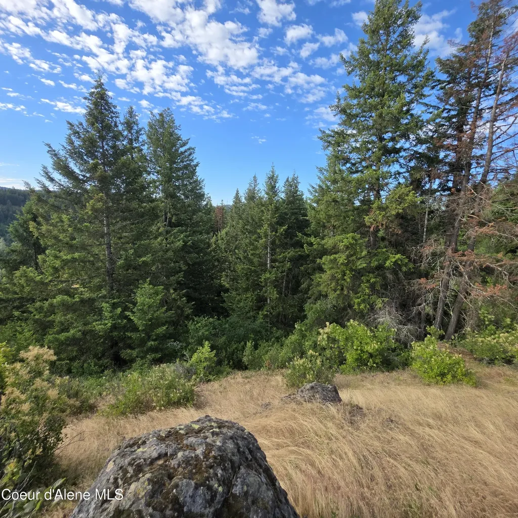 Nka 5 Sunrise Drive Harrison ID 83833