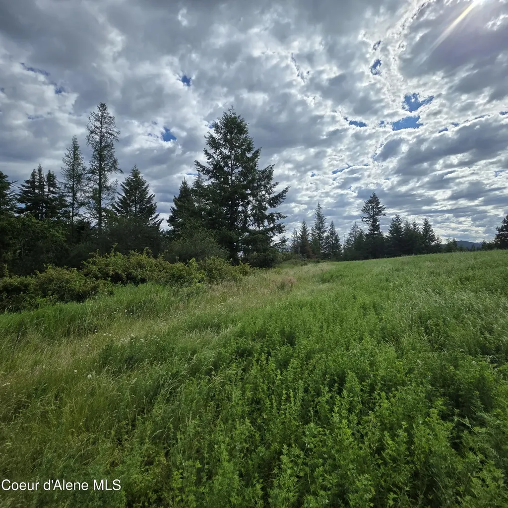 Nka 5 Sunrise Drive Harrison ID 83833