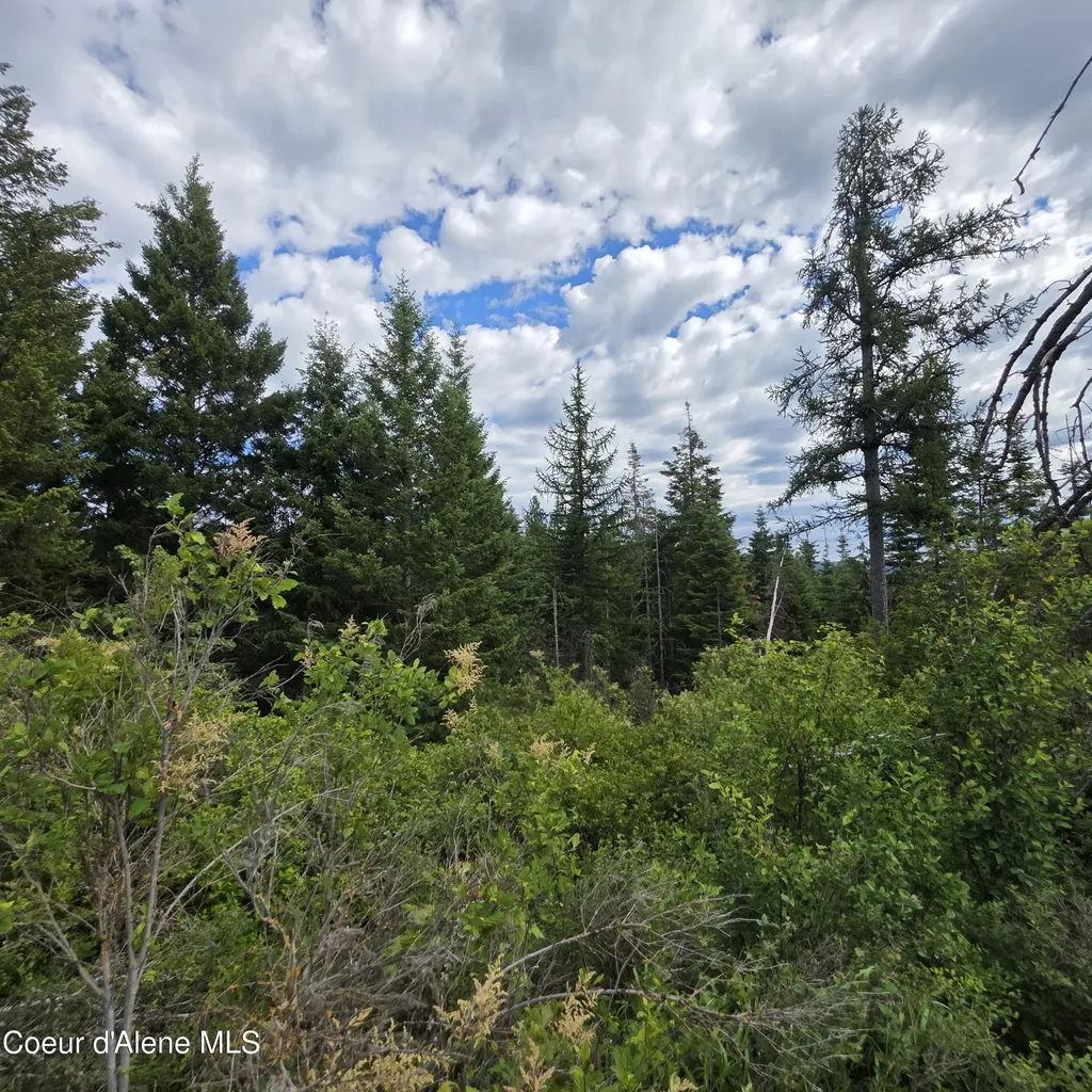 Nka 5 Sunrise Drive Harrison ID 83833