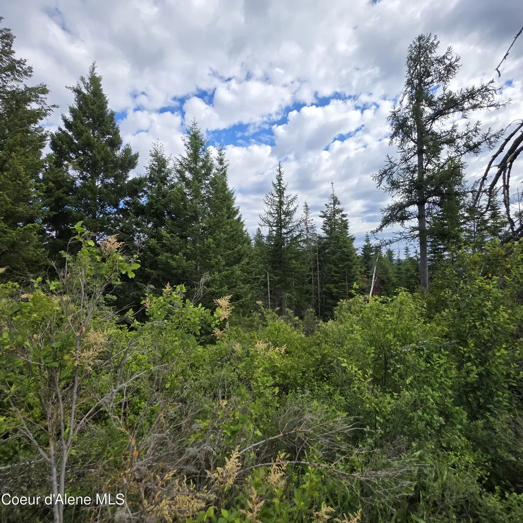 Nka 5 Sunrise Drive Harrison ID 83833