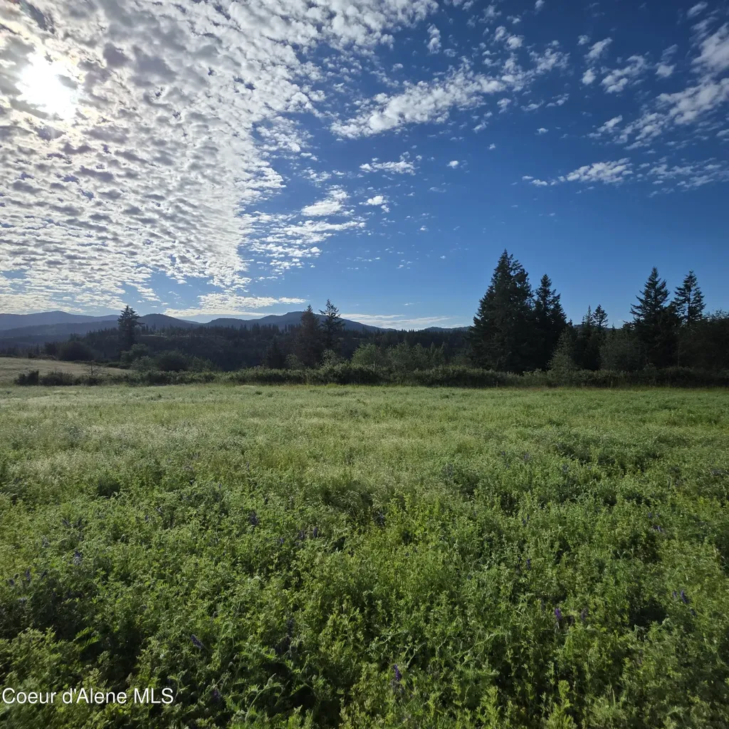 Nka 5 Sunrise Drive Harrison ID 83833