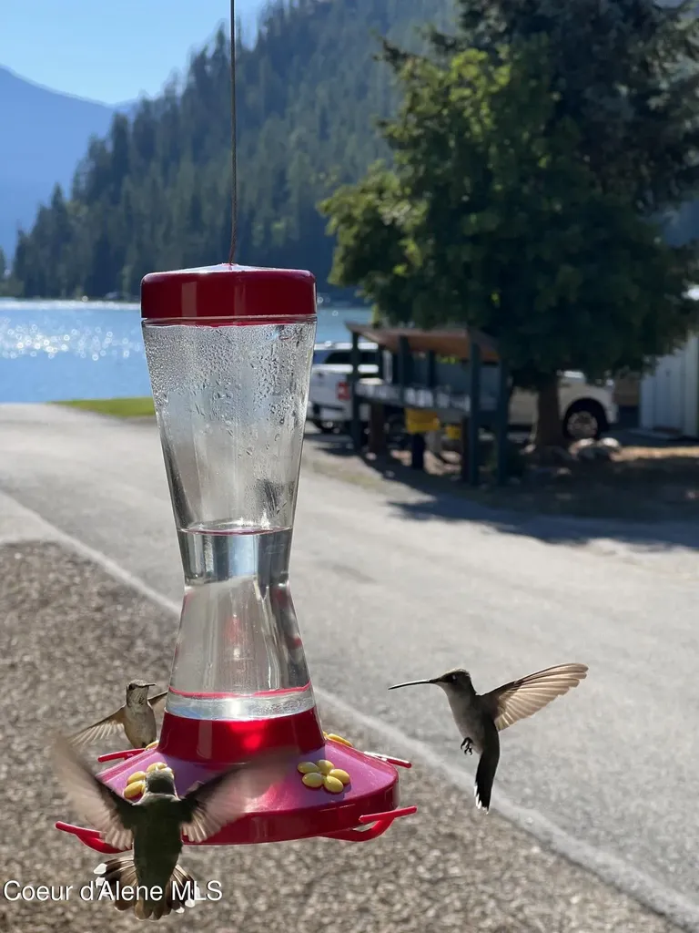 22 Summer Haven Priest Lake ID 83856