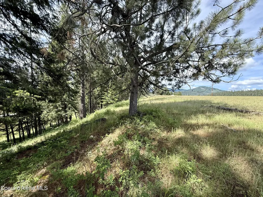 Lot 3 N Stonemason Way Rathdrum ID 83858