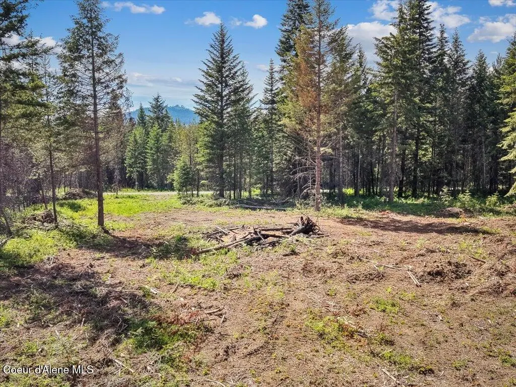 Nka W Sturgeon Road Lot 2 Rathdrum ID 83858