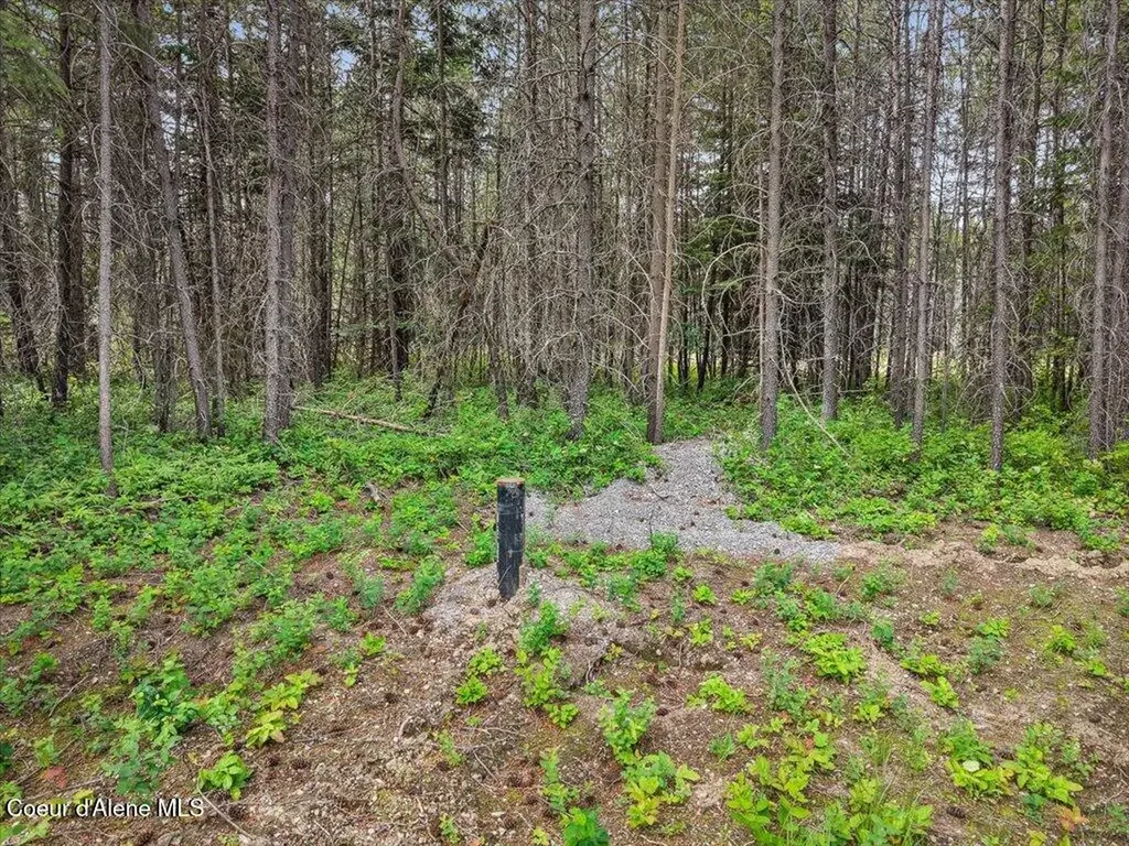 Nka W Sturgeon Road Lot 2 Rathdrum ID 83858