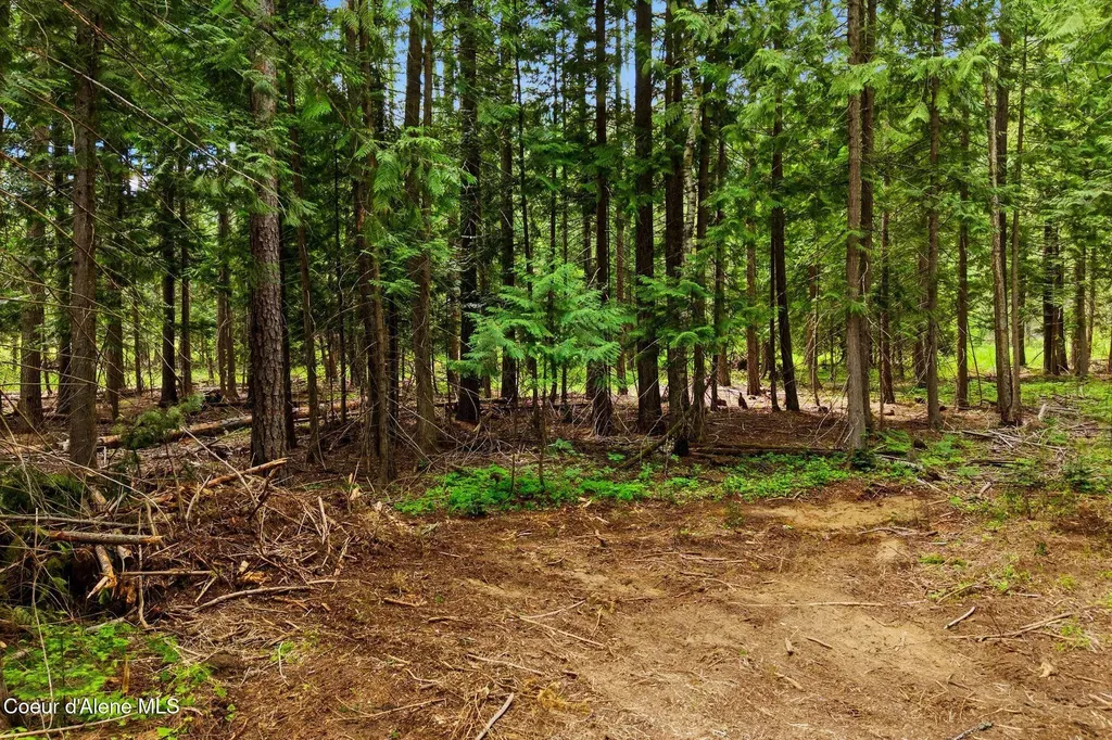 Nka Cedar Springs Road Sandpoint ID 83864