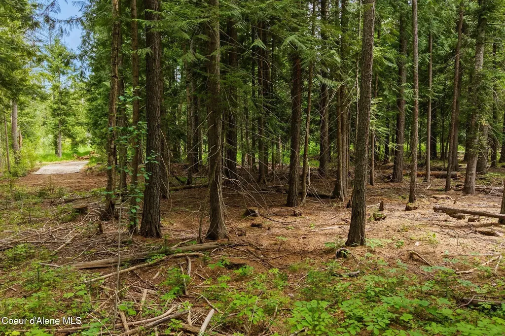 Nka Cedar Springs Road Sandpoint ID 83864