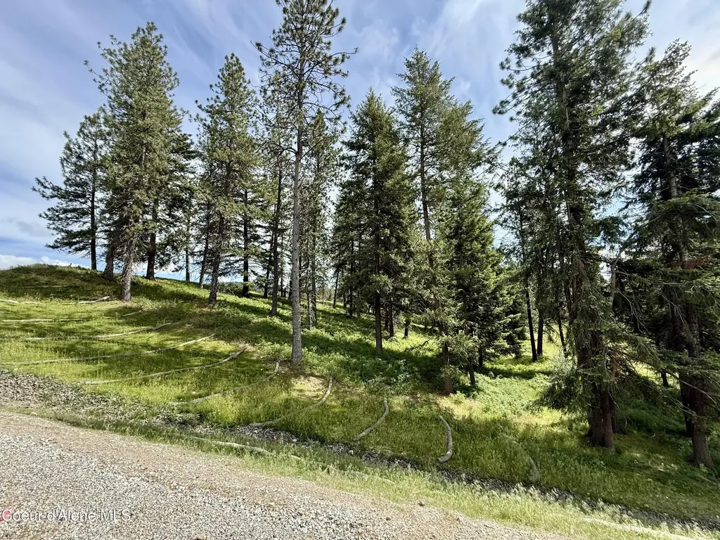 Lot 14 N Stonemason Way Rathdrum ID 83858