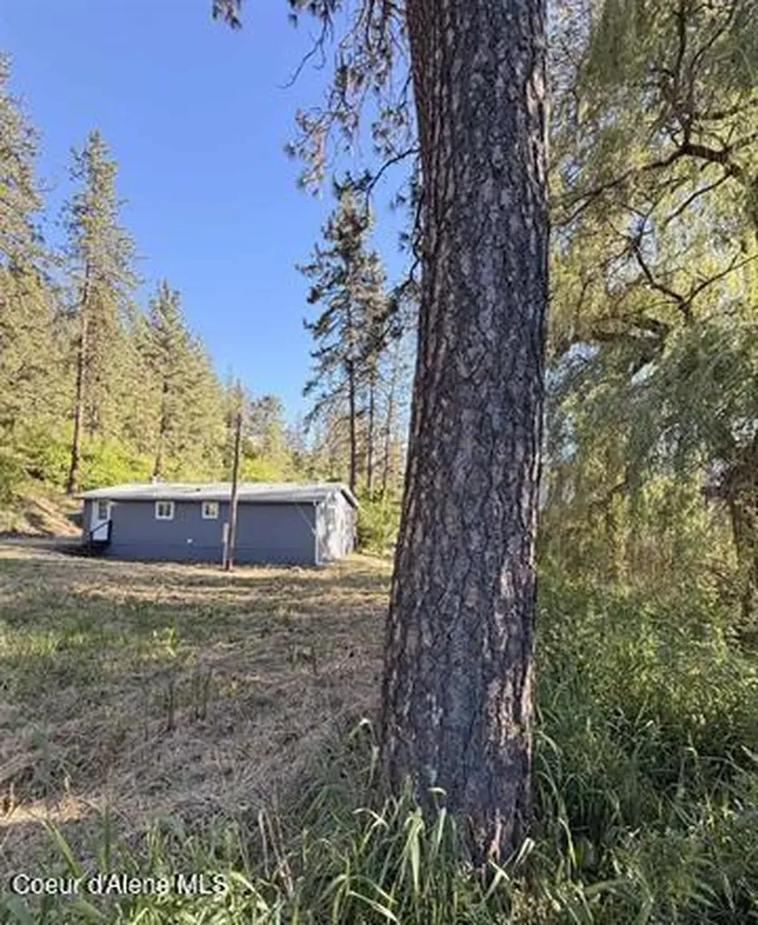 151 View Road Kamiah ID 83536