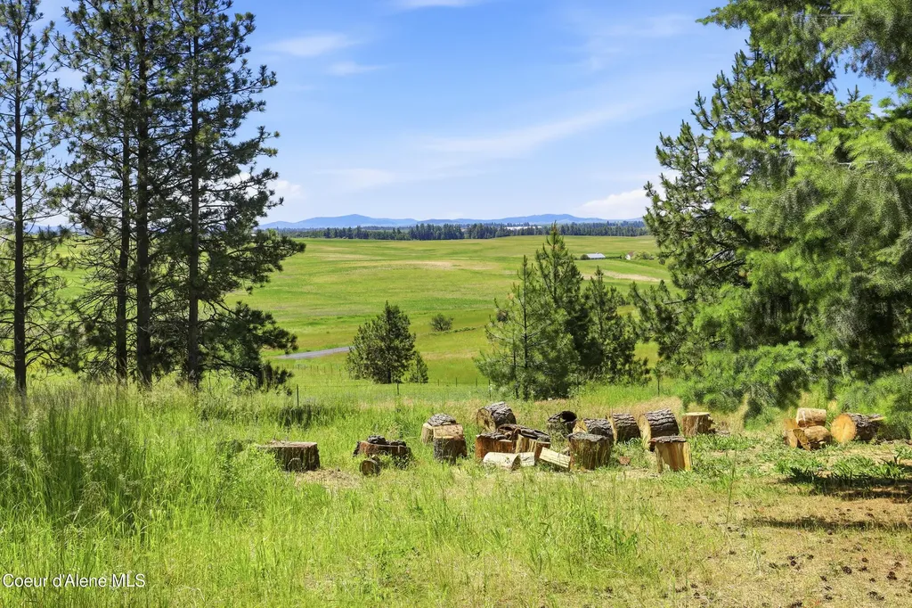 17765 S Rew Road Worley ID 83876