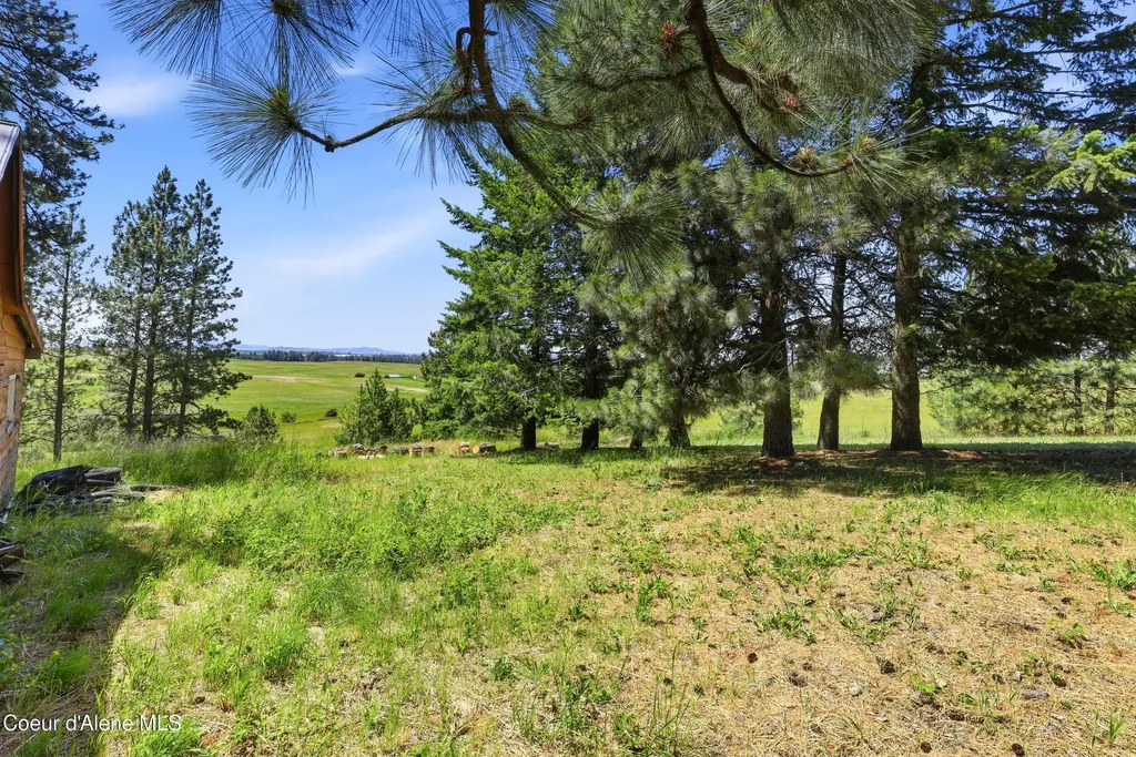 17765 S Rew Road Worley ID 83876