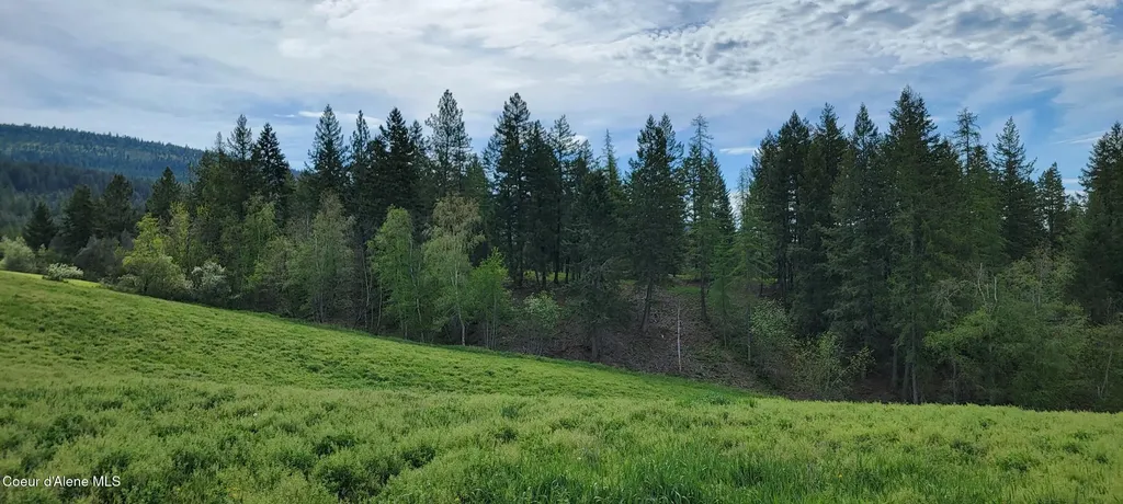 309 Pywell Road Bonners Ferry ID 83805