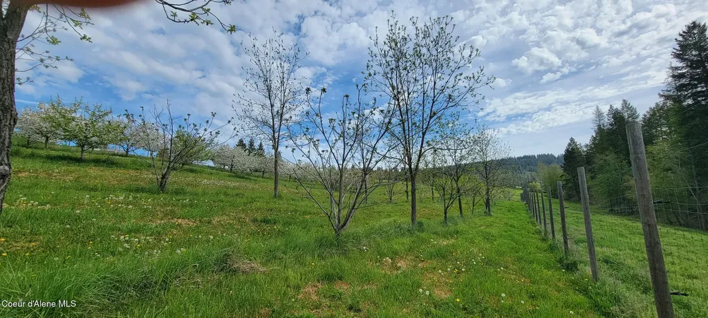 309 Pywell Road Bonners Ferry ID 83805