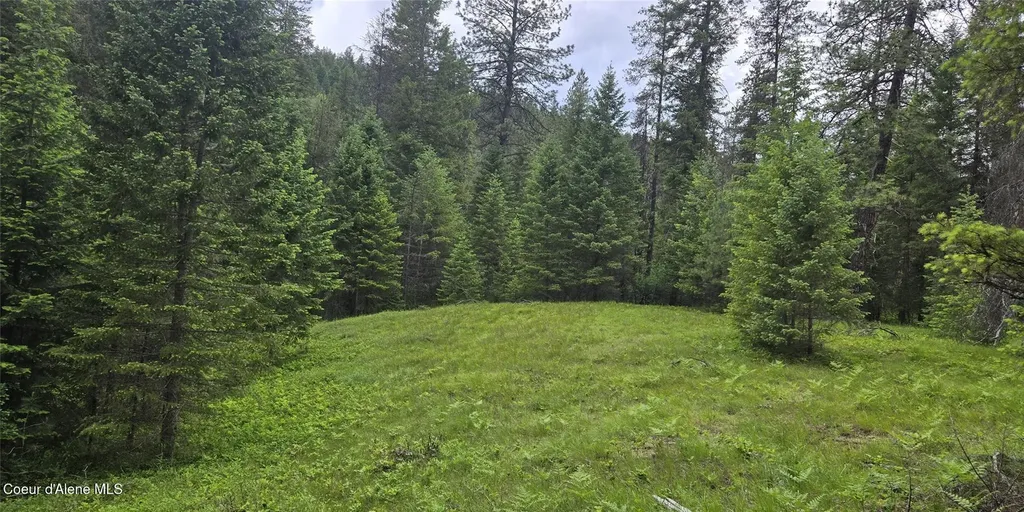 Nhn Bull River Road Noxon MT 59853
