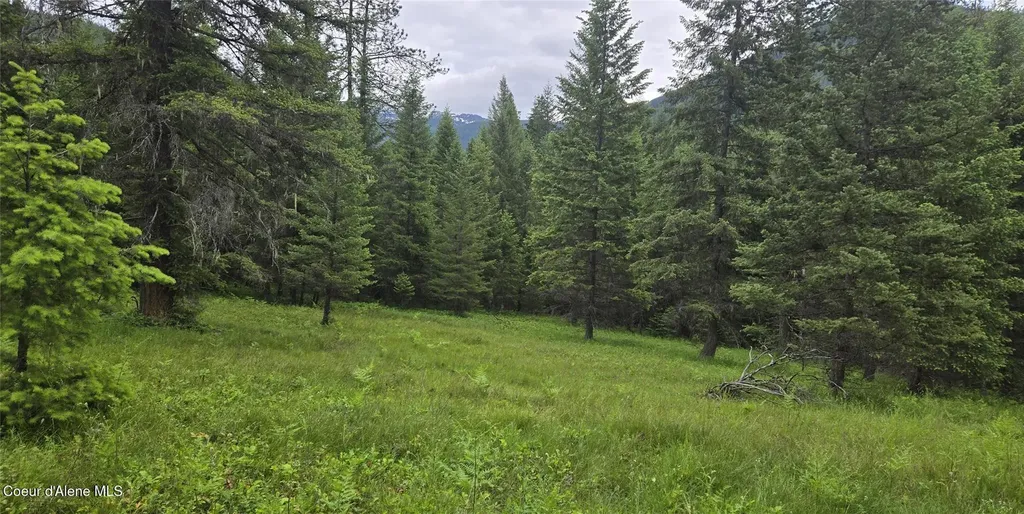 Nhn Bull River Road Noxon MT 59853