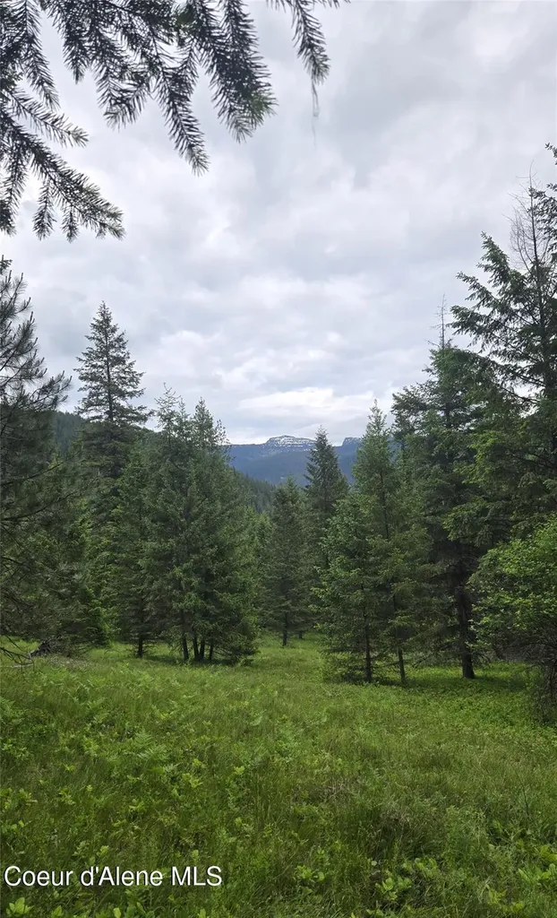 Nhn Bull River Road Noxon MT 59853