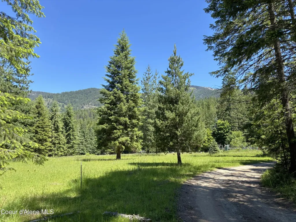 2216 Mosquito Creek Road Clark Fork ID 83811