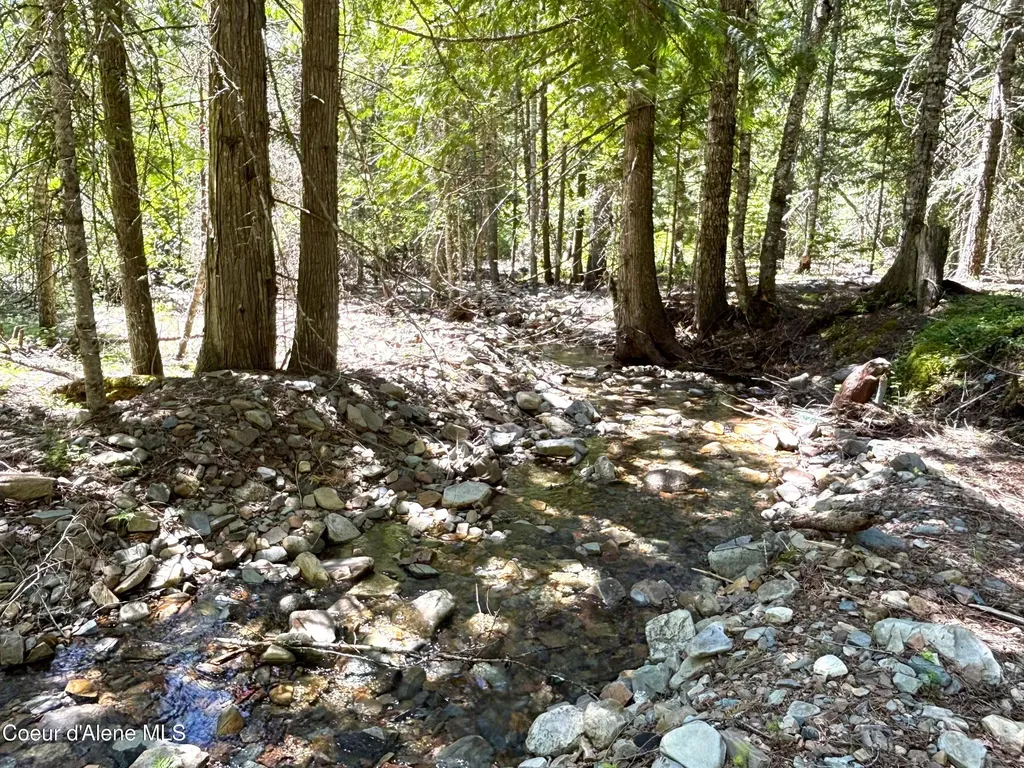 2216 Mosquito Creek Road Clark Fork ID 83811