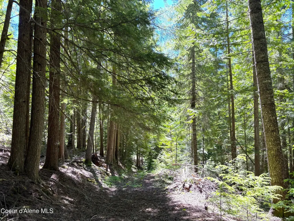 2216 Mosquito Creek Road Clark Fork ID 83811