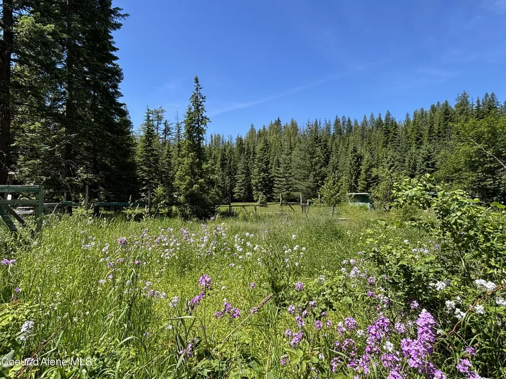2216 Mosquito Creek Road Clark Fork ID 83811