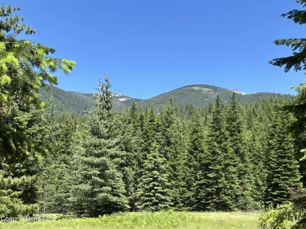2216 Mosquito Creek Road Clark Fork ID 83811